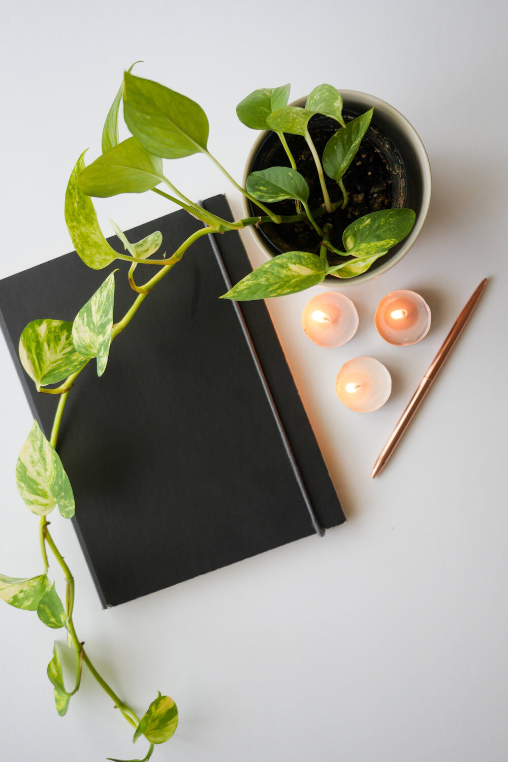 Journal with candles and plants on an desk