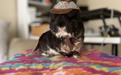 Dedicated to the Legend: Bunny Anthajets