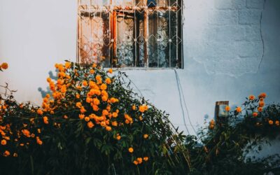 10 Life Lessons From This Week