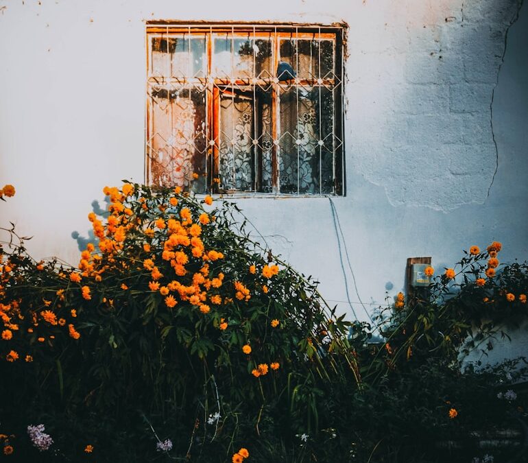 10 Life Lessons From This Week