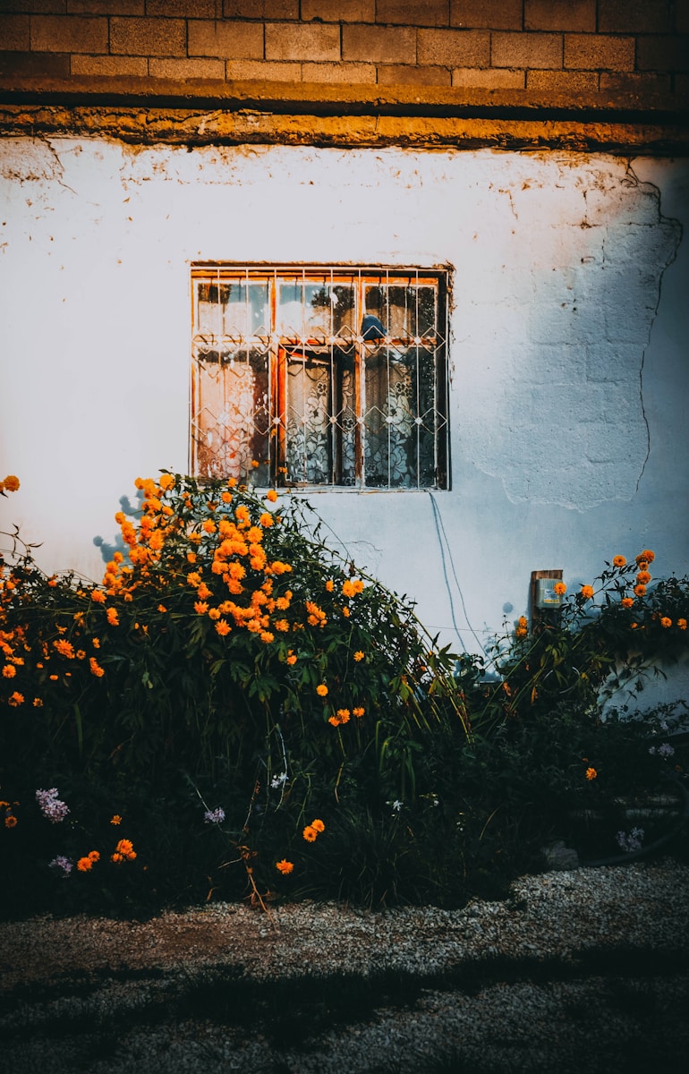 a white building with a window and flowers in front of it