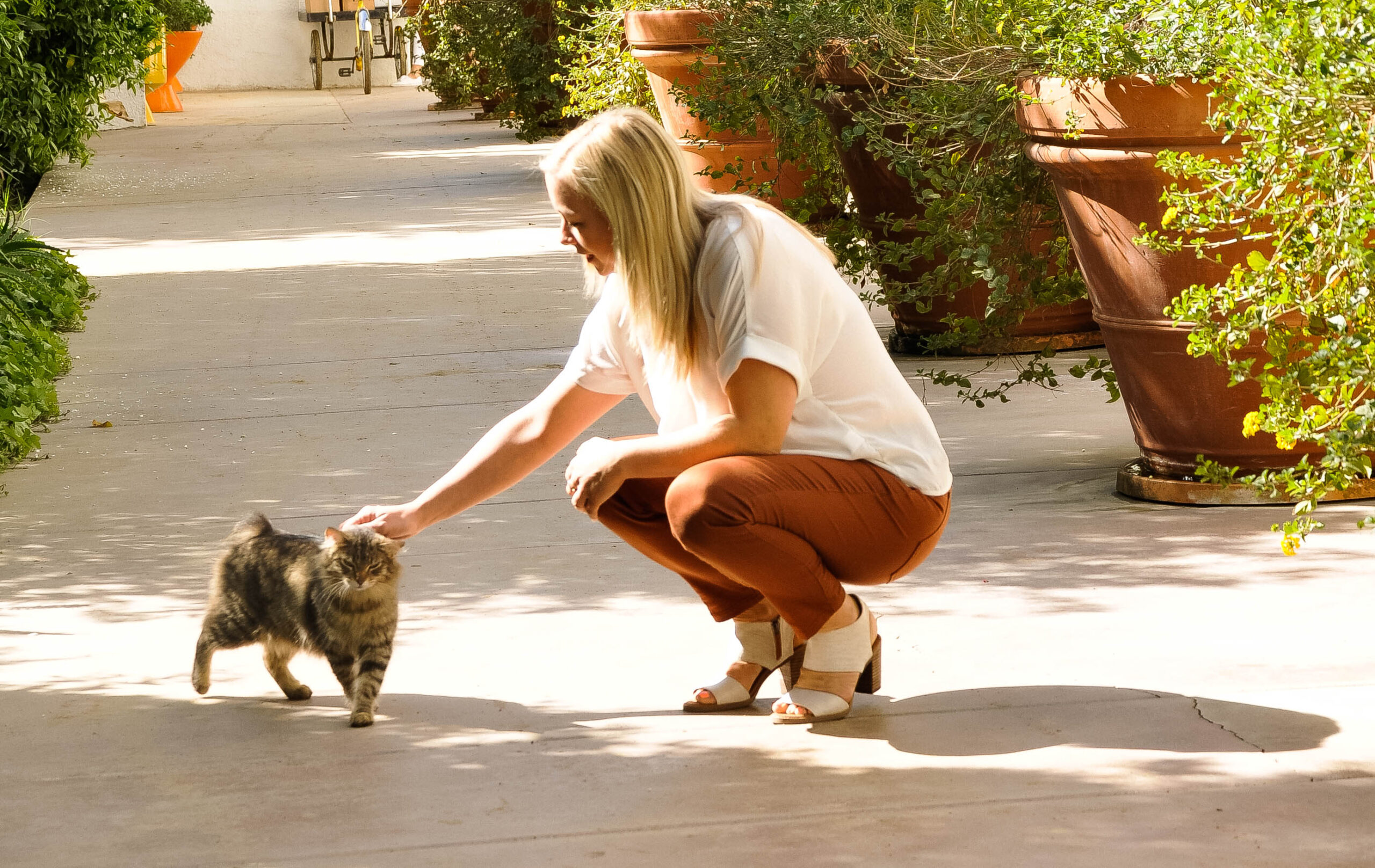 the-navarros-dallas-white-rock-lake-five-12-studio-3852402